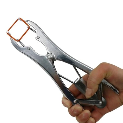 خصاية أغنام ستيل