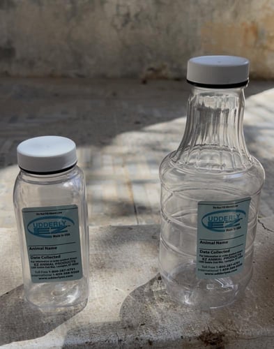 حلابة ماعز صغيرة 1 لتر