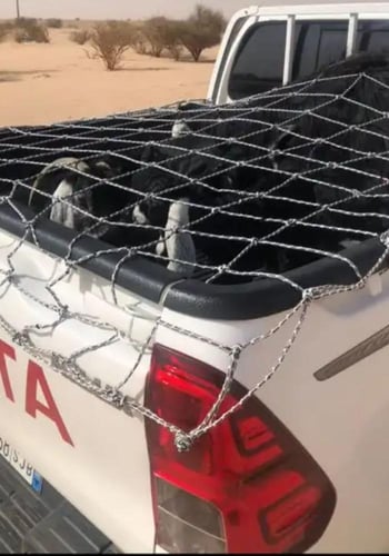 شبك حوض سيارة