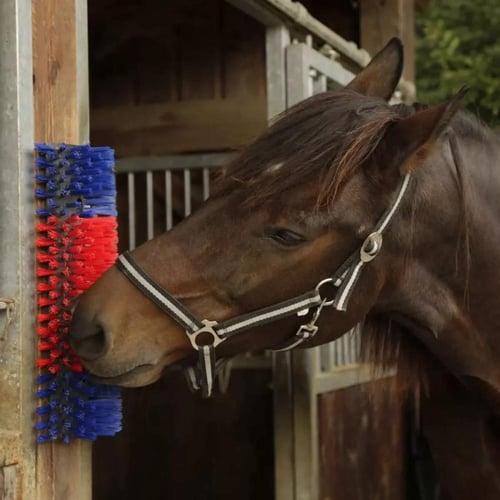 فرشاة تدليك