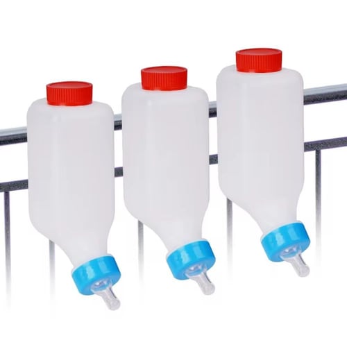 رضاعة ماعز و اغنام