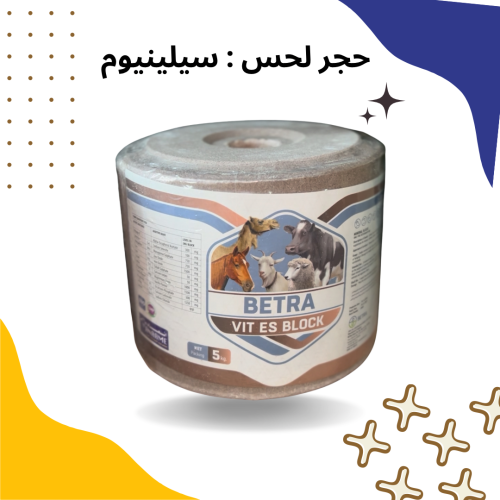 حجر سيلينيوم