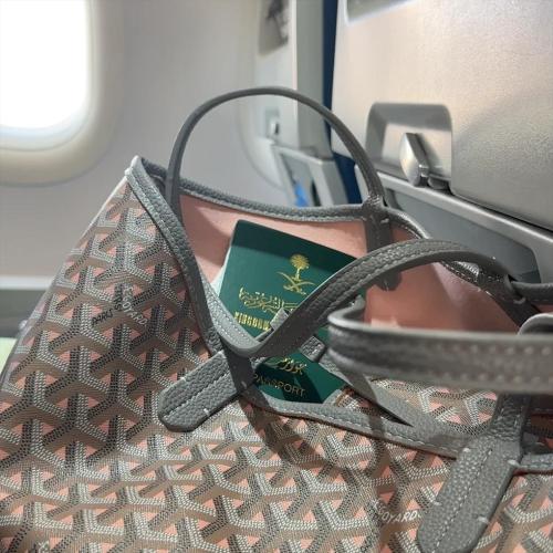 Goyard medium رمادي بينك