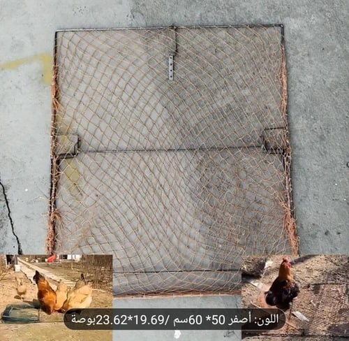 شبكة طيور من الفولاذ المقاوم للصدأ