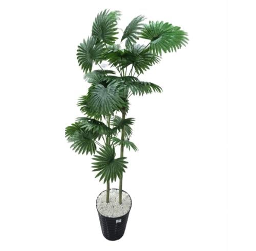 نباتات صناعيه للزينه As