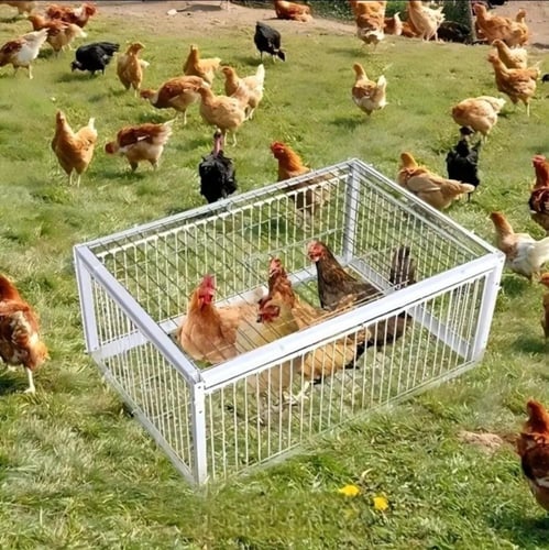 مصيده قفص دوارة بباب قلاب