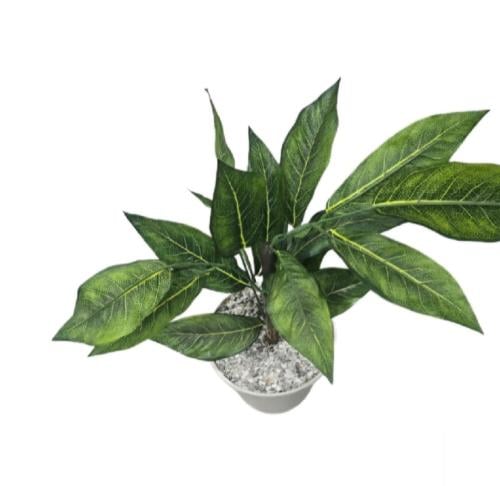 نباتات صناعيه للزينه Y