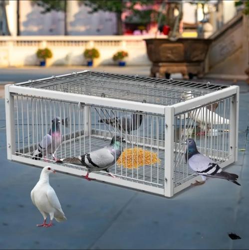 مصيده قفص دوارة بباب قلاب