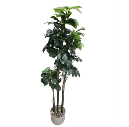 نبات وأشجار صناعيه للزينه S