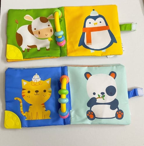 الخشاشة الناعمة وكتاب العضاضة - القطة