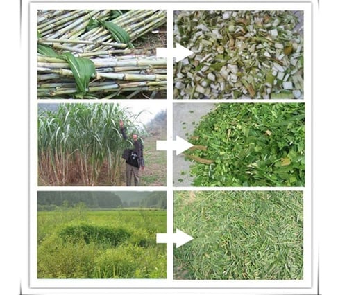 جاروشة أعلاف جراشة بنزين FFC-06