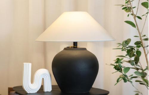 ابجورة ماجنتيت