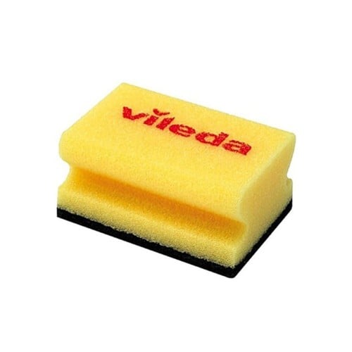 Sponge Felida 1