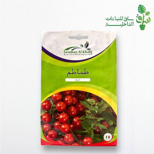 بذور طماطم شيري