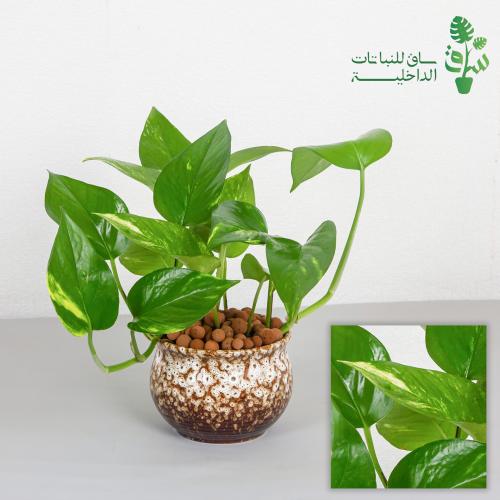 بوتس كبيرة مجهزة بمركن بتصميم كلاسيكي