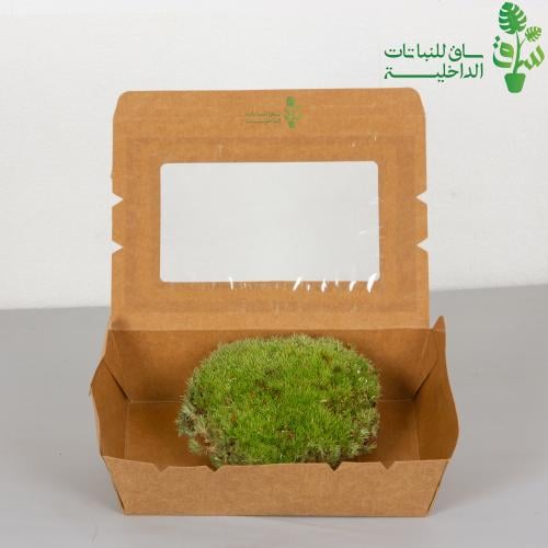 نبات عشب الموس