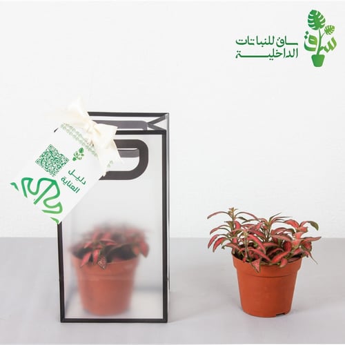 توزيعات بالحبة