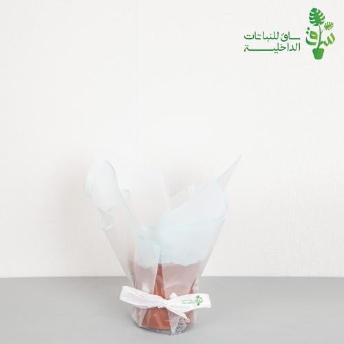 تغليف نباتات سماوي