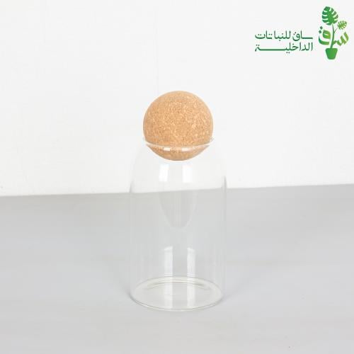 تيراريوم زجاجي