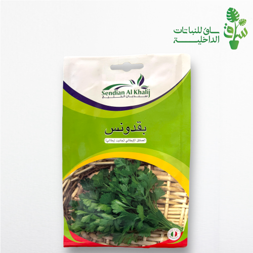 بذور بقدونس