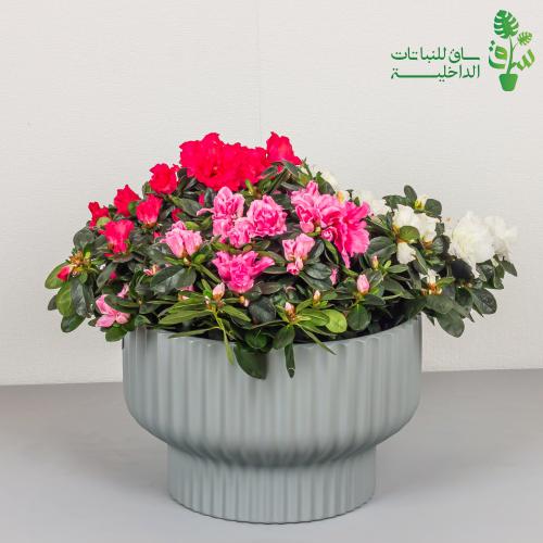 3 ازاليا مجهزة بمركن سيراميك بخطوط طولية (كبيرة جد...