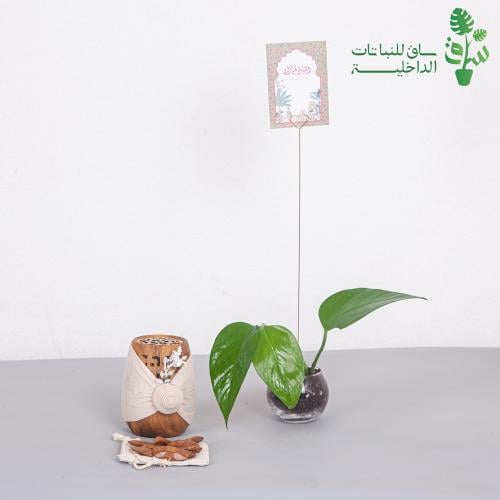 توزيعات العيد عقل بوتس بمركن زجاجي وكرت اهداء