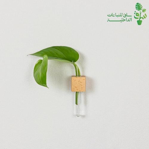 عقلة بوتس بمركن زجاجي مع مغناطيس للتثبيت