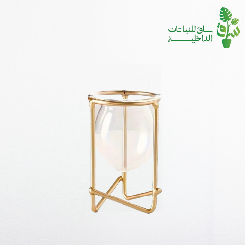 مركن صغير للزراعية المائية