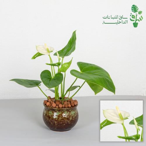 انتوريوم مجهزة بمركن بتصميم كلاسيكي