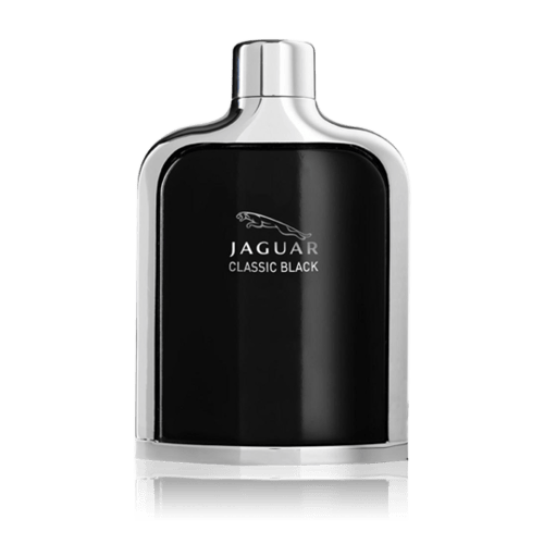 مجموعة العطور اليوميه - 4 قطع