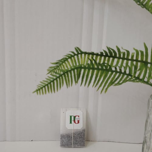 ظرف شاي أحمر PGtips مغلف بالحبه