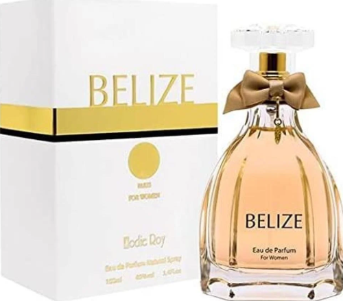 عطر بليز اودي بارفيوم 100 ML
