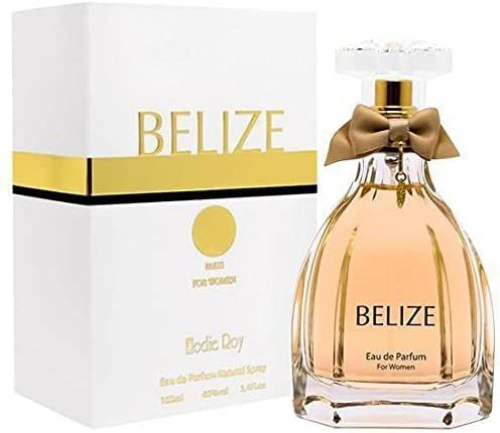 عطر بليز اودي بارفيوم 100 ML