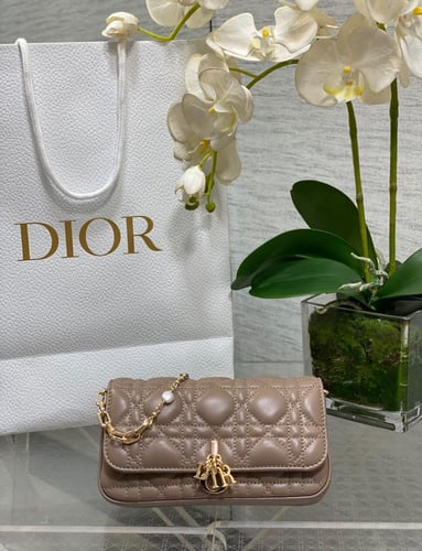 شنطة نسائية Dior ماستر