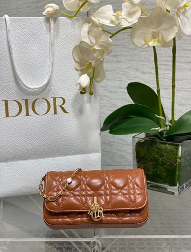 شنطة نسائية Dior ماستر