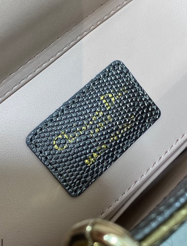 شنطة نسائية Dior ماستر