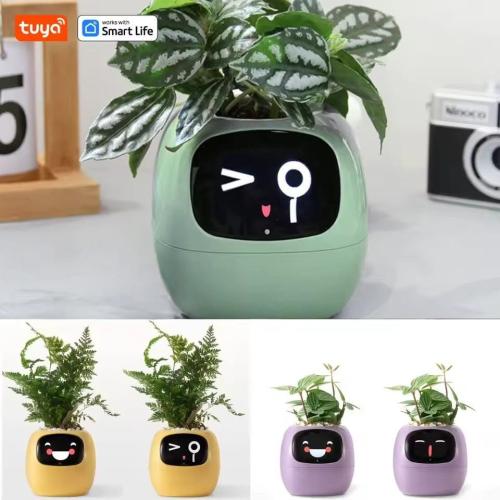 وعاء زراعة ذكي