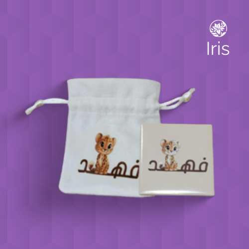 طباعة مغناطيس الكبس حسب الطلب