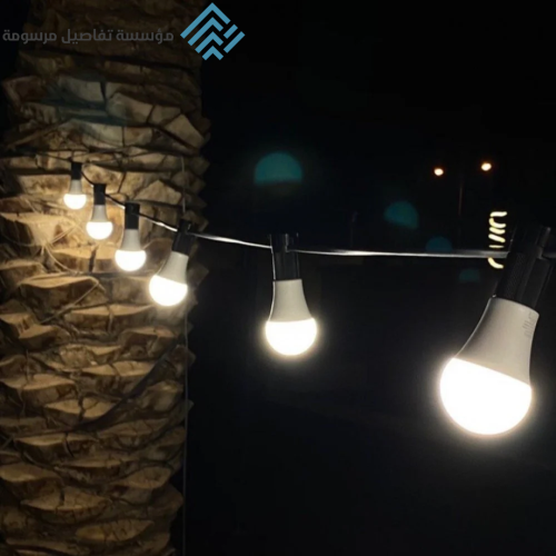 Outdoor lamp cord 25 meters 20 lamps