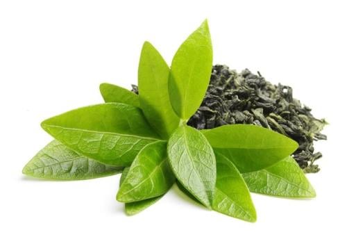 زيت الشاي الأخضر ES75