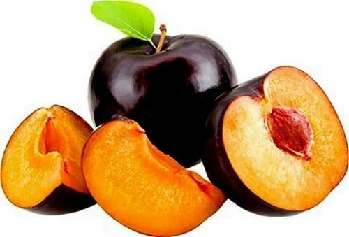 زيت البرقوق الأسترالي CR51