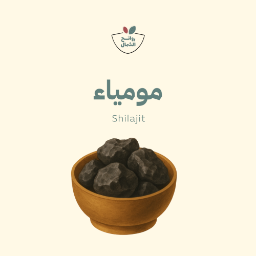 مومياء