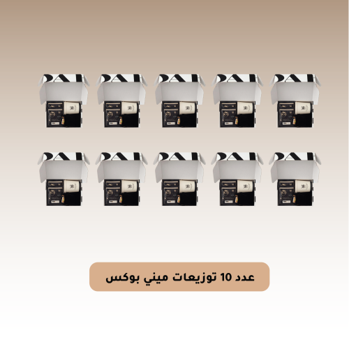 توزيعات ميني بوكس | 10 حبات