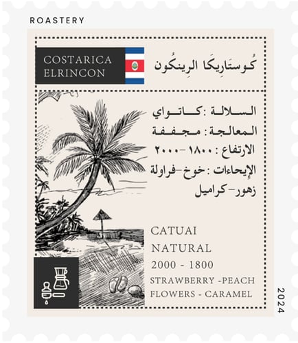 مجموعة قها | 6 محاصيل