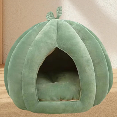 The house of the cat