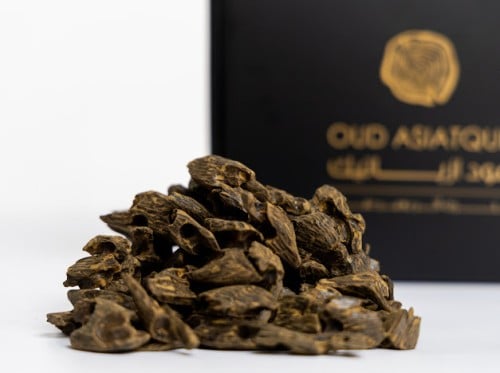 عود كلمنتان بنتلي