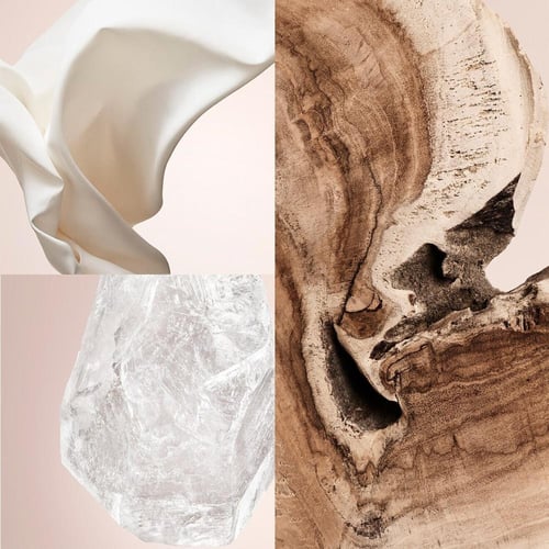 عطر كارولينا هيريرا سيدر شيك أو دو برفيوم 100 مل