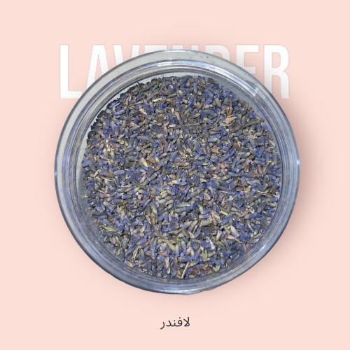 لافندر