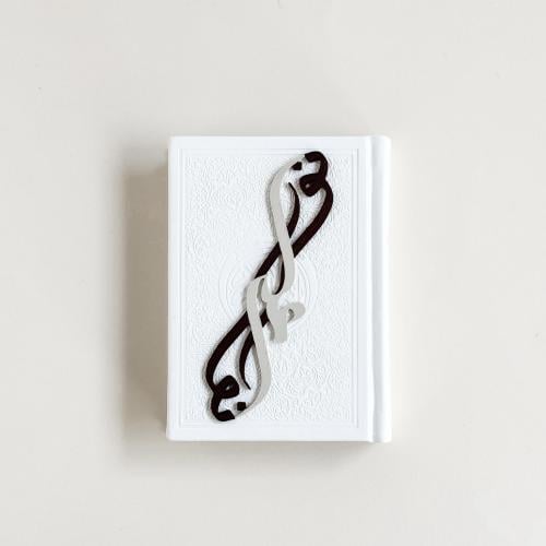 فاصل نور على نور - عودي