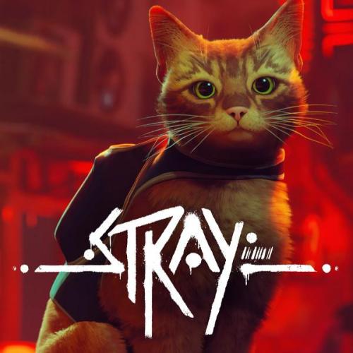 لعبة القطة Stray
